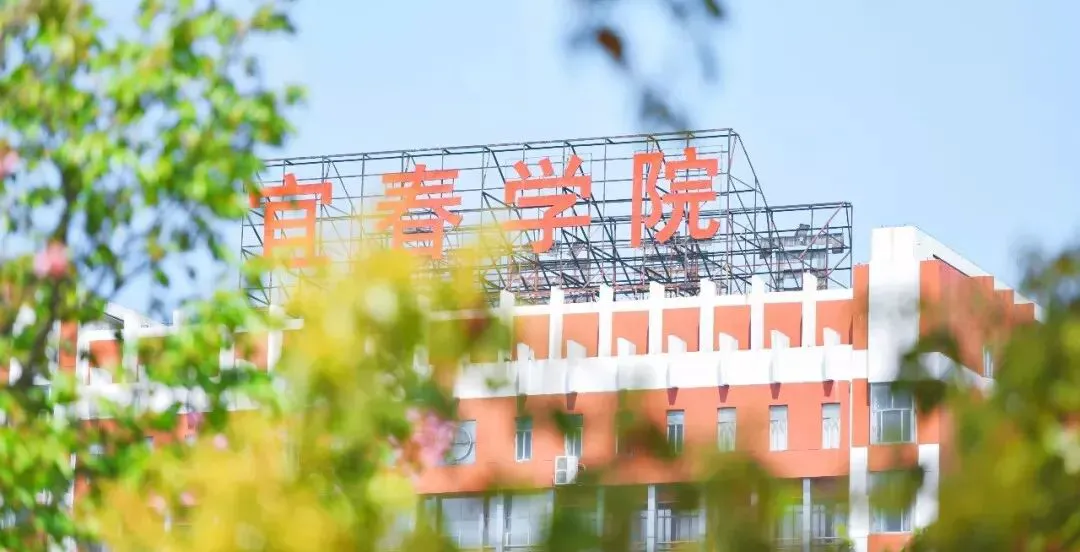 如何在杯赛中获得更好的训练和发展机会_2